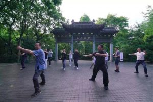 太极文化特色图片
